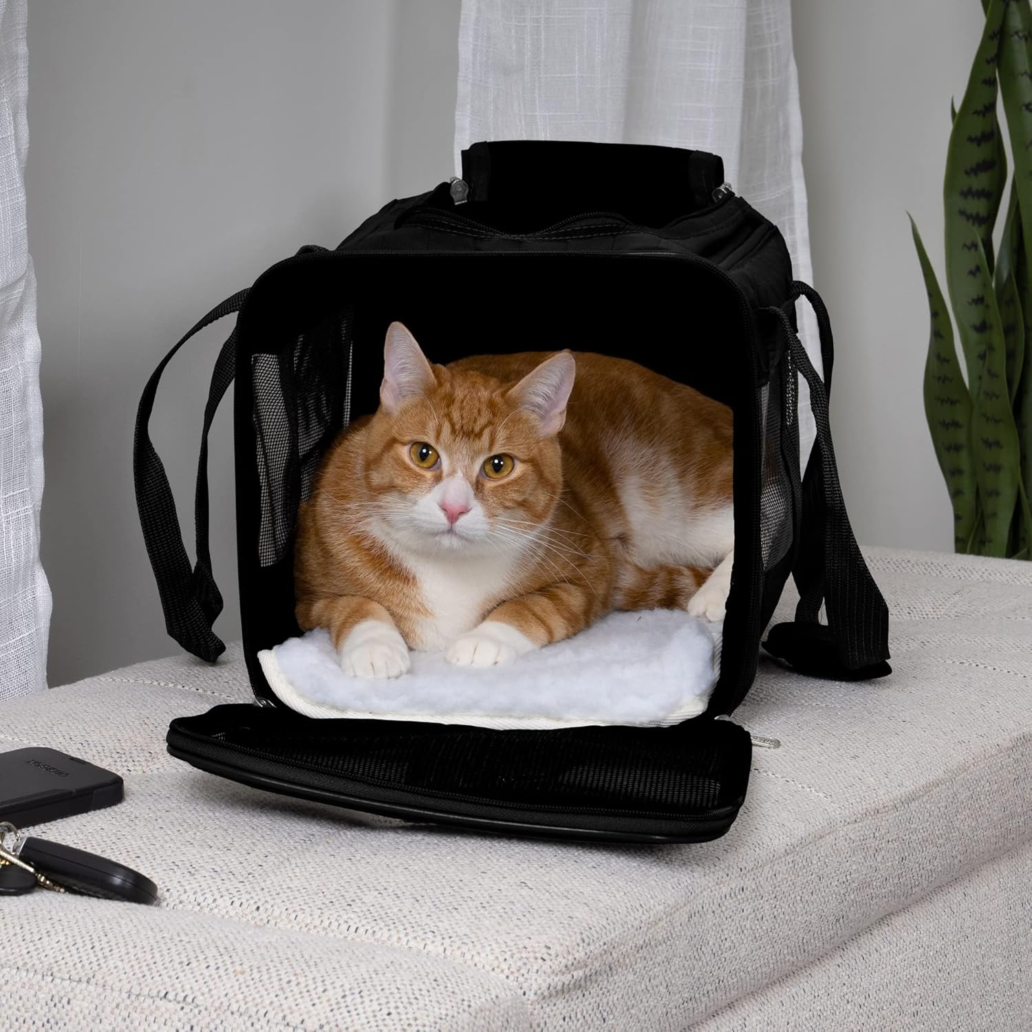 Sherpa - The Original Deluxe Pet Carrier - Black – Cats Paradise