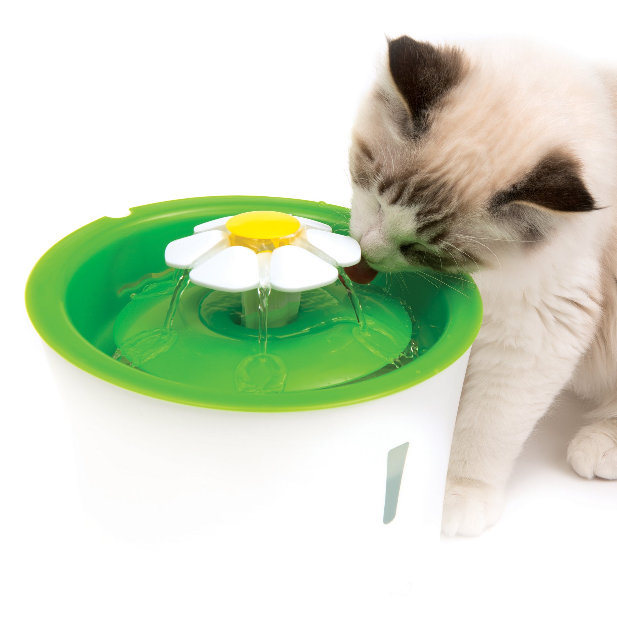 Fontaine à eau pour chat : Test de la Flower fountain de Catit - Happiness  Maker