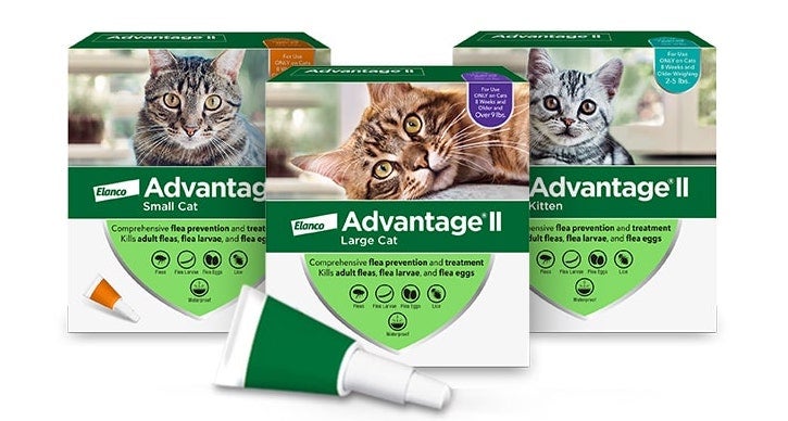 Advantage for Small Cats - Main Image