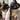 Baci+ Hairball Treatment - Cats Paradise