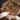 Baci+ Hairball Treatment - Cats Paradise
