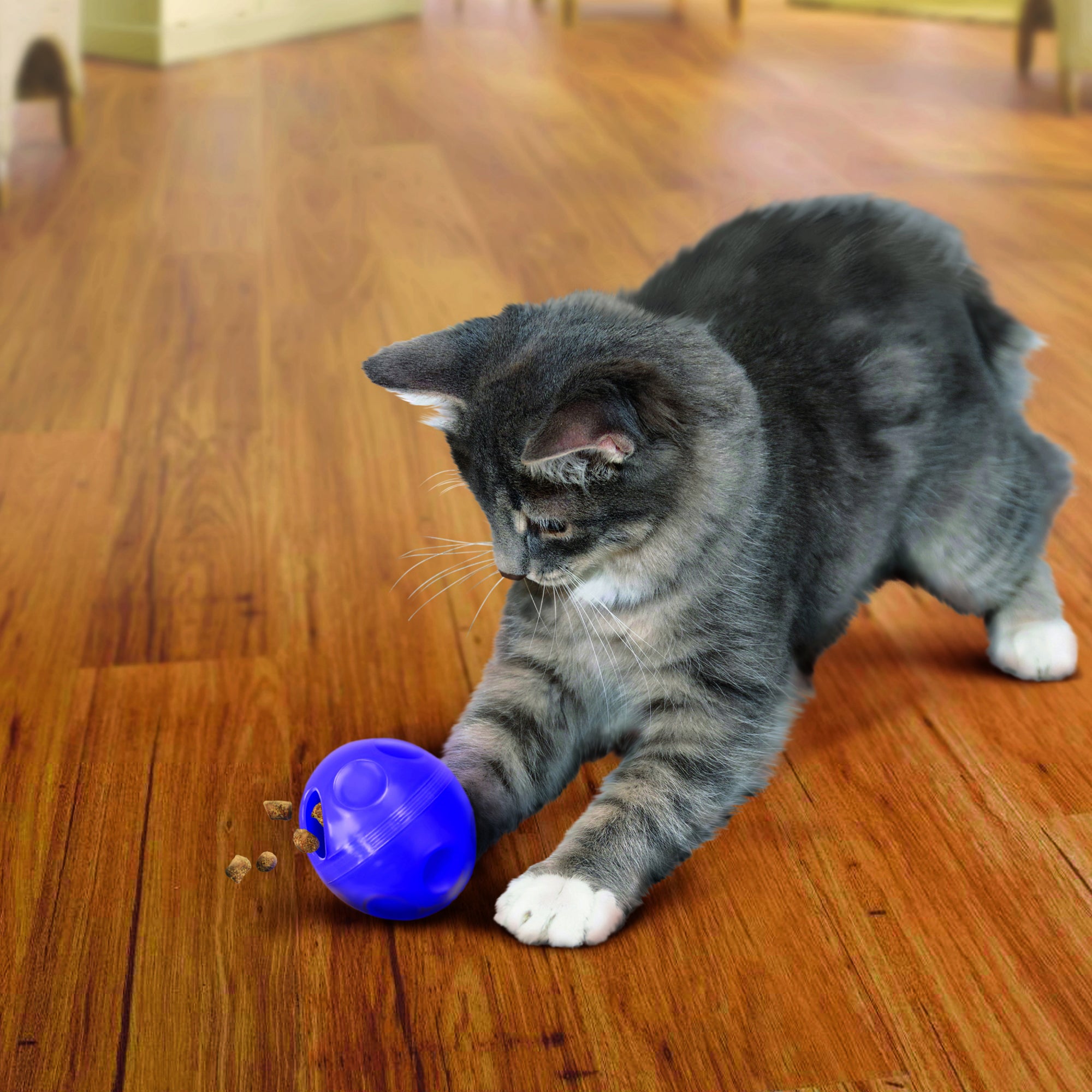 Kong Infused Gyro Cat Toy