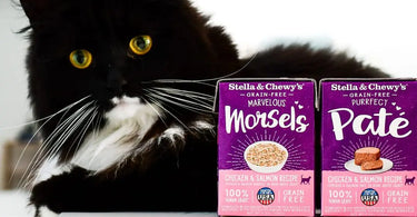 Carlyle Wet Cat Food 24 Cans (8% Case Discount) - Cats Paradise