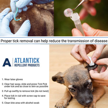 Atlantick – Tick Pick, Tick ID, and Key Chain