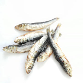 Nuwoof: Sardines 65g