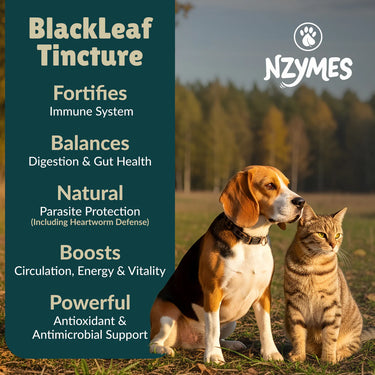 Nzymes Black Leaf Herbal Supplement