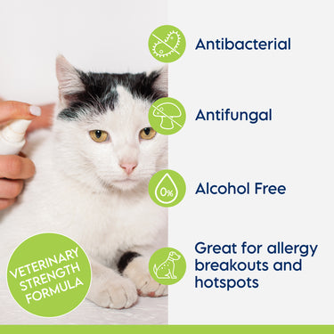 SWEDERMA Therapeutic KETO-C Spray 237ml (Cucumber Melon)