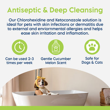 SWEDERMA Therapeutic KETO-C Shampoo for Dogs & Cats (Cucumber Melon)