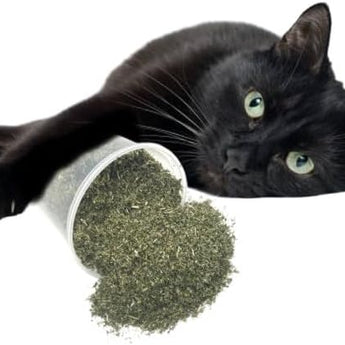 SIMONS Kickin Catnip