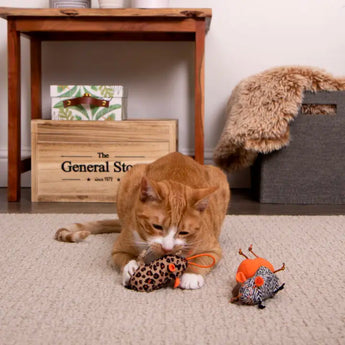 Instincts by SmartyKat® Safari Sneakers™ HappyNip® Silvervine & Catnip Plush Cat Toys & Launcher Cat Toy (NEW)