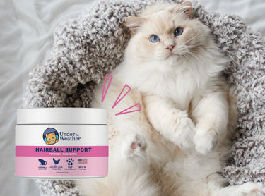 Under the Weather Cat Supplements Hairball Support Powder 72 g