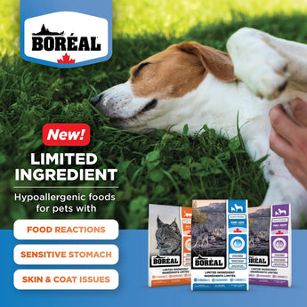 Boreal Functional Limited Ingredients All Breeds Duck Cat