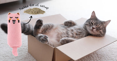 Brookbrand Pets Rustle Catnip Cat