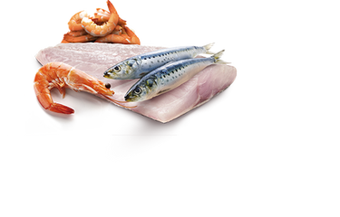 Farmina Ocean  with Seabass, Sardine & Shrimp