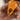The Tick Patrol Tick Remover - Assorted