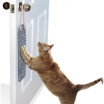 Omega Paw Door Hanging Scratchy Pad