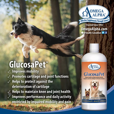 Omega Alpha GlucosaPet 120 ml