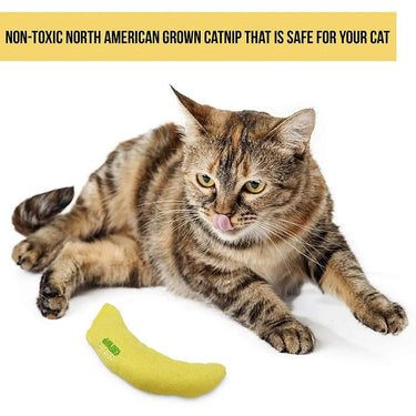Cosmic Cat Cosmic Banana A Peeling Cat