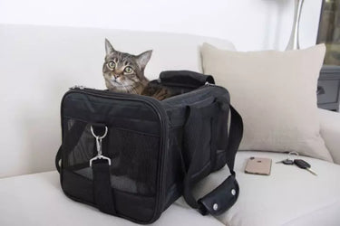 Sherpa - The Original Deluxe Pet Carrier - Black