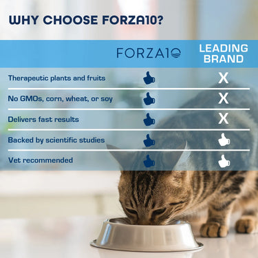 Forza 10 Renal Cat Wet food 32/3.5 oz (8% case discount)