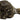 Spot® Shaggy Giant Mouse with Catnip Plush Cat Toy