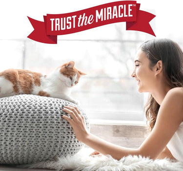 Spectrum Nature's Miracle Just for Cats Stain & Odor Remover Advanced 1 Gallon 128 oz