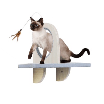 ALL FOR PAWS Skywalk Groom & Play Platform