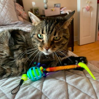 Chewmate Oral Care Floss & Treat Toothbrush Toy for Cats (2-Pack)