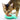 Spot® Doc & Phoebe™ The Wet Feeder