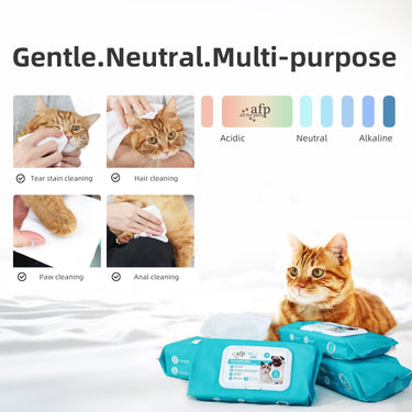 ALL FOR PAWS Pet Salon Pet Wipes 100Ct Coconut