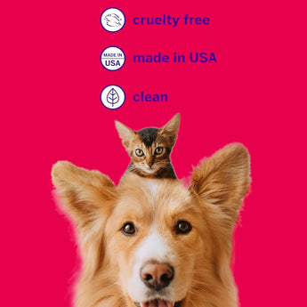 PETSMILE Professional Pet Toothpaste Rotisserie Chicken 4.2 oz