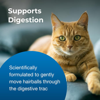 PetAg® Hairball Natural Solution Gel Supplement for Cats 3.5 oz