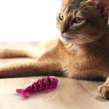 Aikiou Treat Toy Fish
