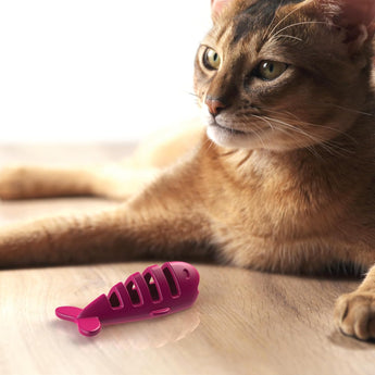 Aikiou Treat Toy Fish