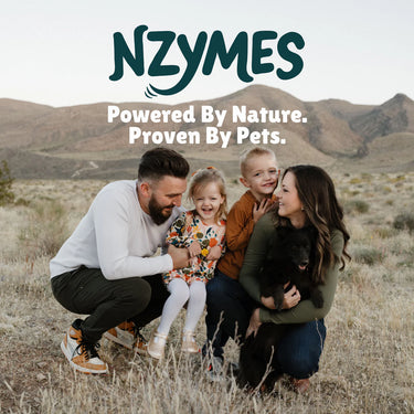Nzymes Antioxidant Treats 60 tablets