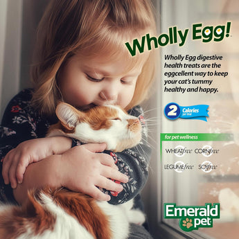 Emerald Pet Cat Wholly Egg 2.5oz - Salmon