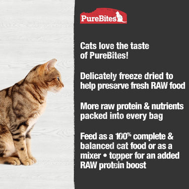 Purebites Chicken Recipe 2.8 oz Cat