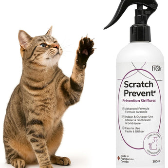 Enviro Fresh Scratch Prevent for Cats 380ml