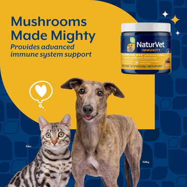 NaturVet Mushroom Max Advanced Immune Support 60 ct