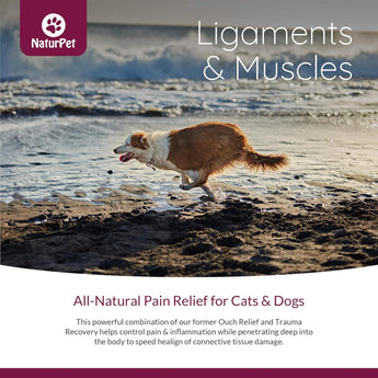 NaturPet® Ligaments & Muscles