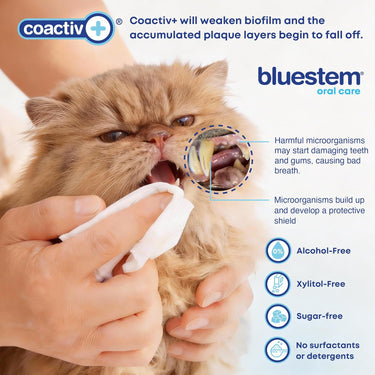 bluestem Dental Wipes 60ct for Dogs & Cats