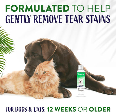 Tropiclean Tear Stain Remover For Pets, 8oz
