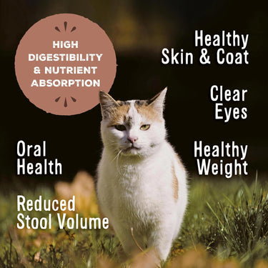 Primal™ Freeze-Dried Raw Nuggets Turkey Recipe Cat Food