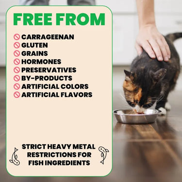 Almo Nature HQS Natural Cat Food - Tuna And Clams In Broth 70g