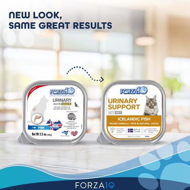 Forza 10 - Urinary Actiwet - Canned Cat Food 3.5 oz