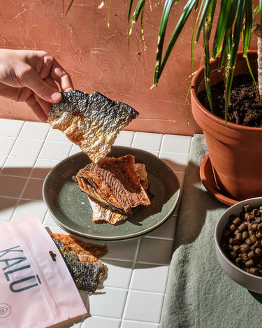KALU Dehydrated Salmon Skins 200 g (NEW)