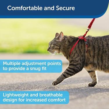Premier Cat Harness with Leash SALE