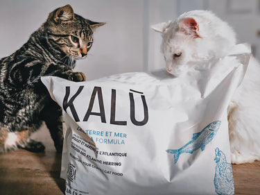 Kalu Land & Sea (Chicken and Atlantic Herring) (NEW)