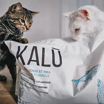 Kalu Land & Sea (Chicken and Atlantic Herring) (NEW)