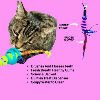 Chewmate Treatbrush for Cats